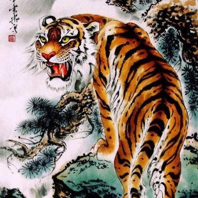 最新四虎深度解析与观点阐述