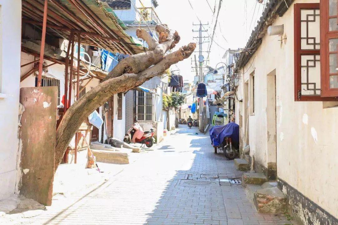 小巷中的隐藏宝藏,特色小店独特魅力与最新热点新闻事件聚焦