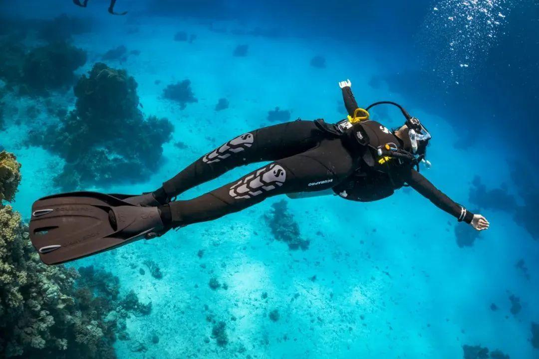 最新银行贷款详解,全方位解析贷款细节,一篇读懂!