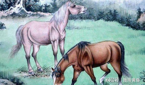 一一肖二马100%,重要性解析方法_领航版88.806-3