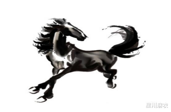 一一肖二马100%,重要性解析方法_领航版88.806-3