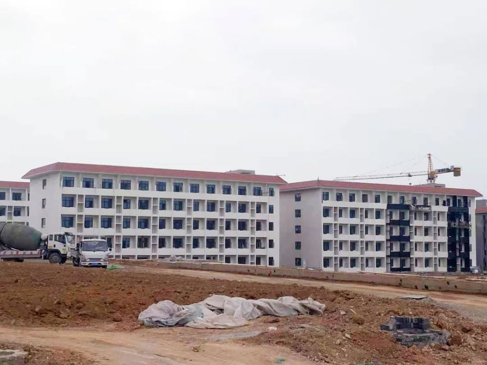 公众号微商城 第531页