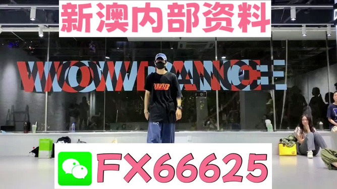 新澳门精准资料大全管家婆料澳门岛,时代说明解析_DX版180.267-3