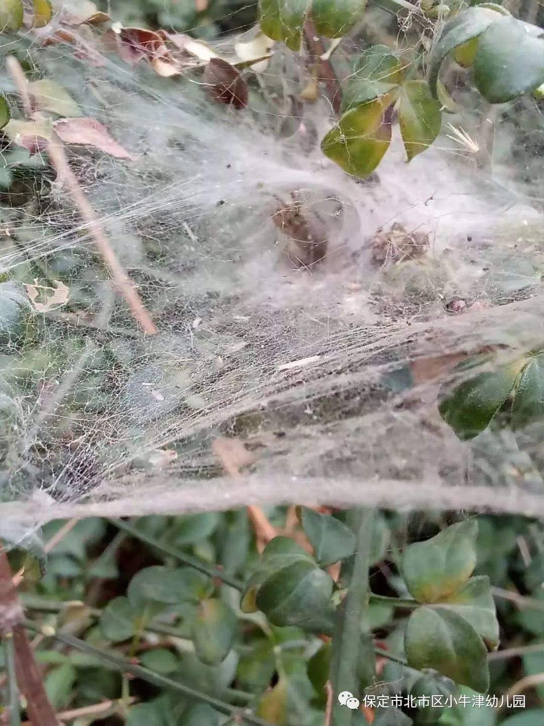 最新白芨贴吧，变化中的学习，自信与成就感的源泉