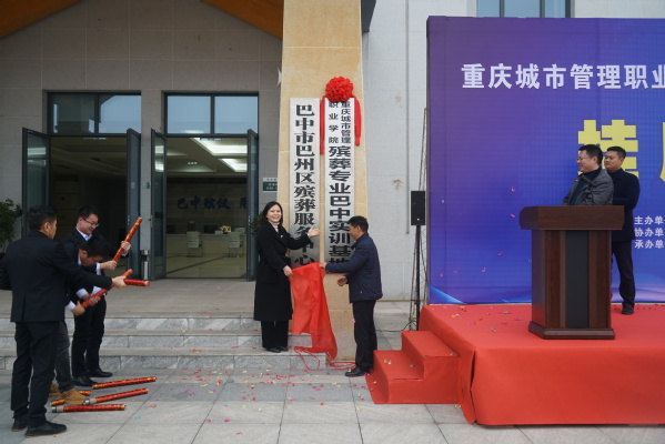 淳化最新丧事视频,传统与现代的完美融合