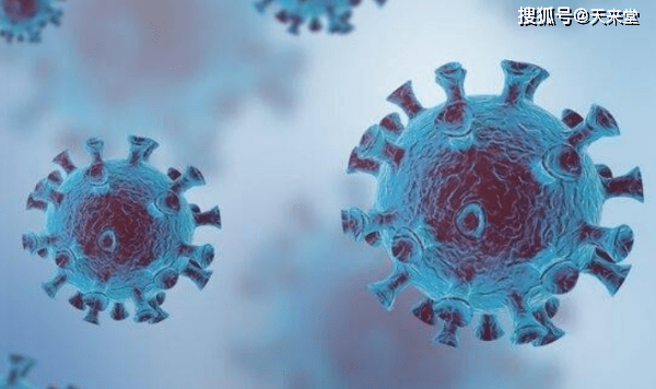 新澳金牛版最新版本内容,专家意见解析_特别款78.665-5