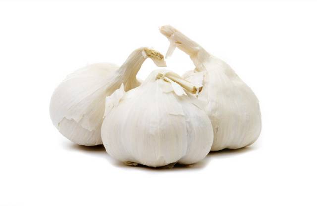 大蒜的奇妙旅程与温馨故事,最新大蒜资讯报道