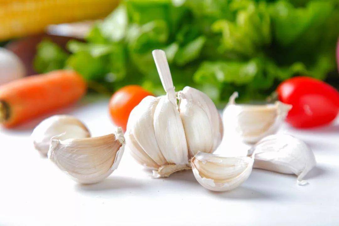 大蒜的奇妙旅程与温馨故事,最新大蒜资讯报道