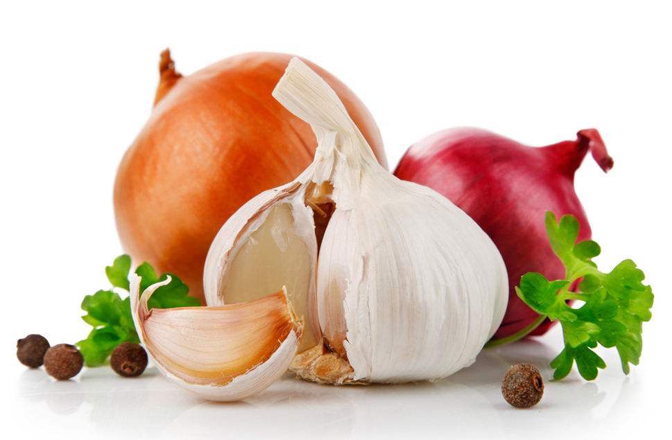 大蒜的奇妙旅程与温馨故事,最新大蒜资讯报道