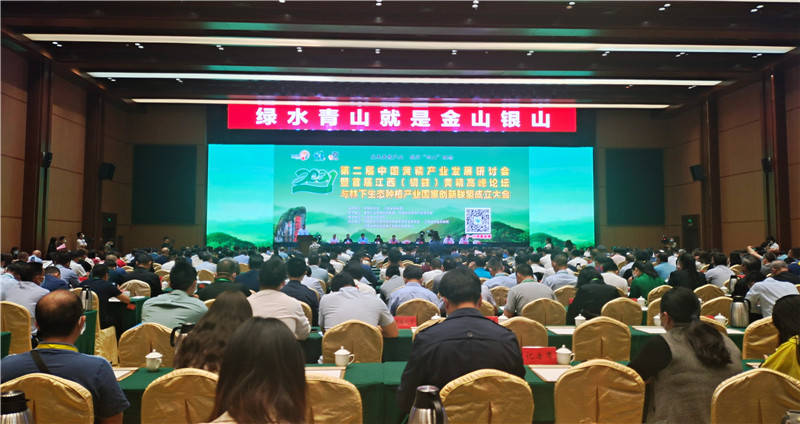 22324濠江论坛最新消息2024年,创新发展策略_DIY版86.154