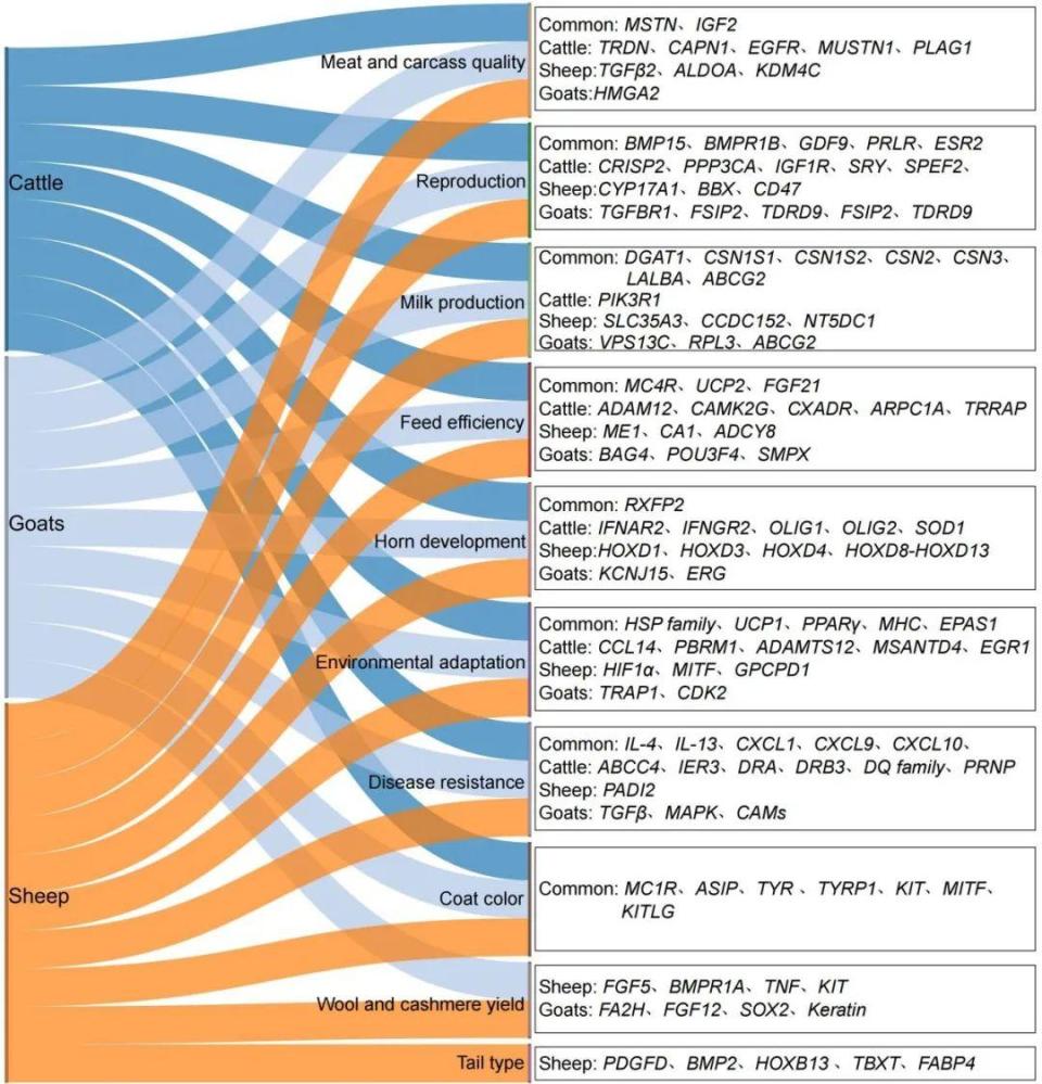 刘亚舟是什么人物啊简介,科学依据解析_未来版94.510
