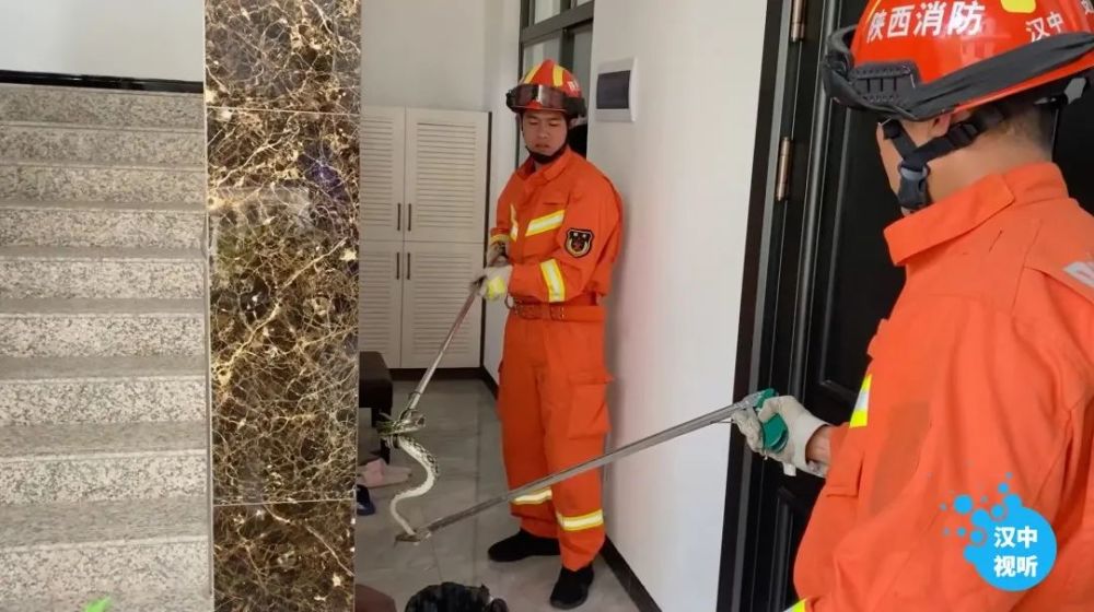 2024年新澳门夭夭好彩最快开奖结果,安全保障措施_赛博版78.931