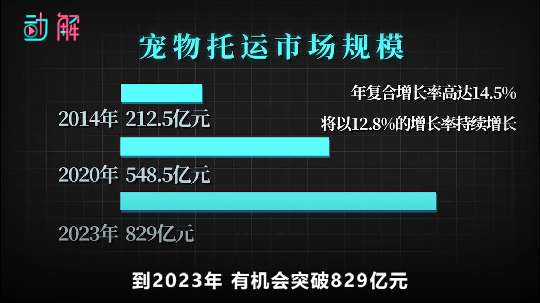 白小姐今晚特马期期准2023年,决策支持方案_Tablet89.829