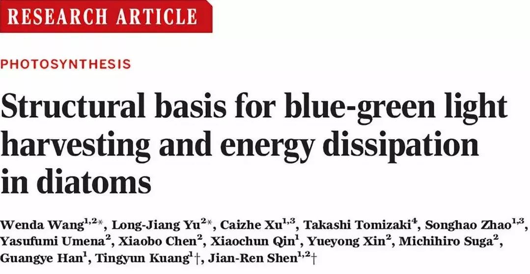 新奥彩294444cm216677,科学解释分析_明亮版54.120