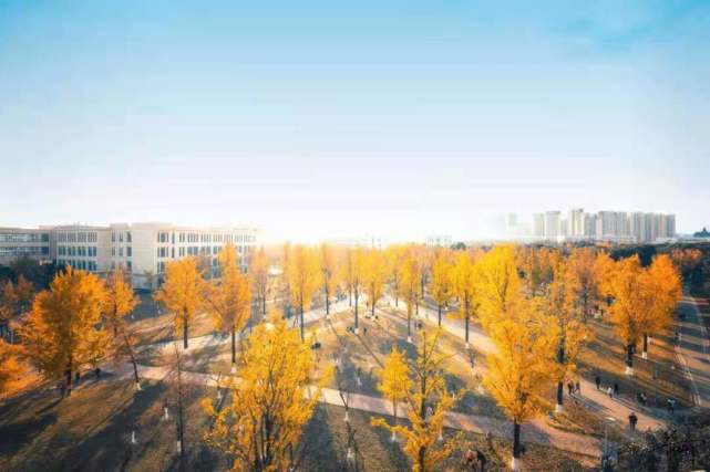 新奥2024年免费资料大全,科学解释分析_云端共享版58.686