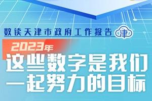 新奥彩资料免费最新版,现代化解析定义_毛坯版48.233