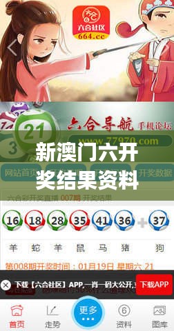 新澳六开彩资料2024,全身心数据指导枕_L版12.960