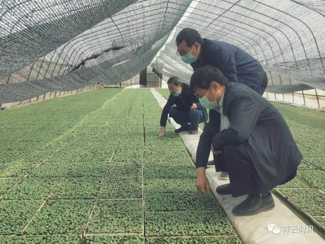 立垡村最新消息详解，获取途径及应用步骤指南