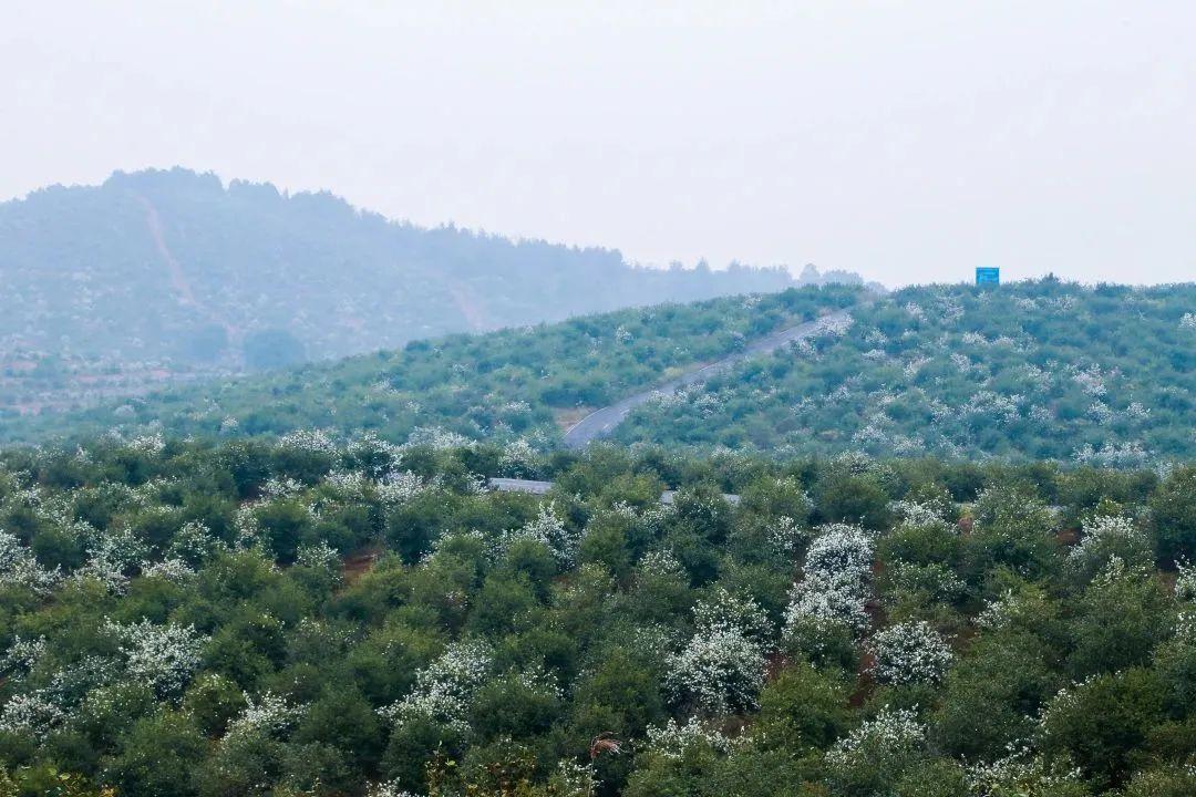 安徽水利股票最新动态，探索自然美景之旅，寻求内心平静之路