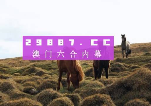 2024新澳门码正版资料图库,创新策略设计_领航版49.262