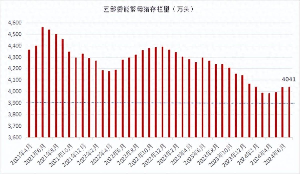 2024管家婆资料大全,标准执行具体评价_触感版51.538