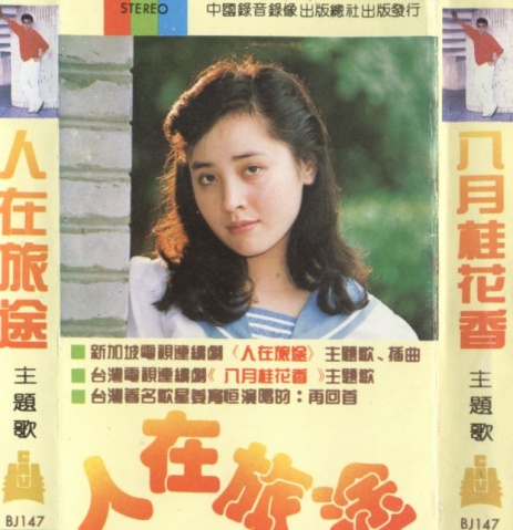 新加坡最新电视连续剧,自然之旅,探寻内心的宁静与喜悦