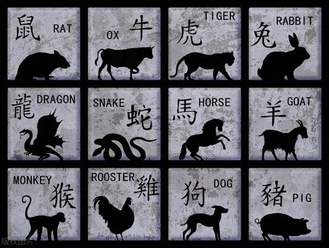 每期一肖一码中一,具象化表达解说_生活版28.487