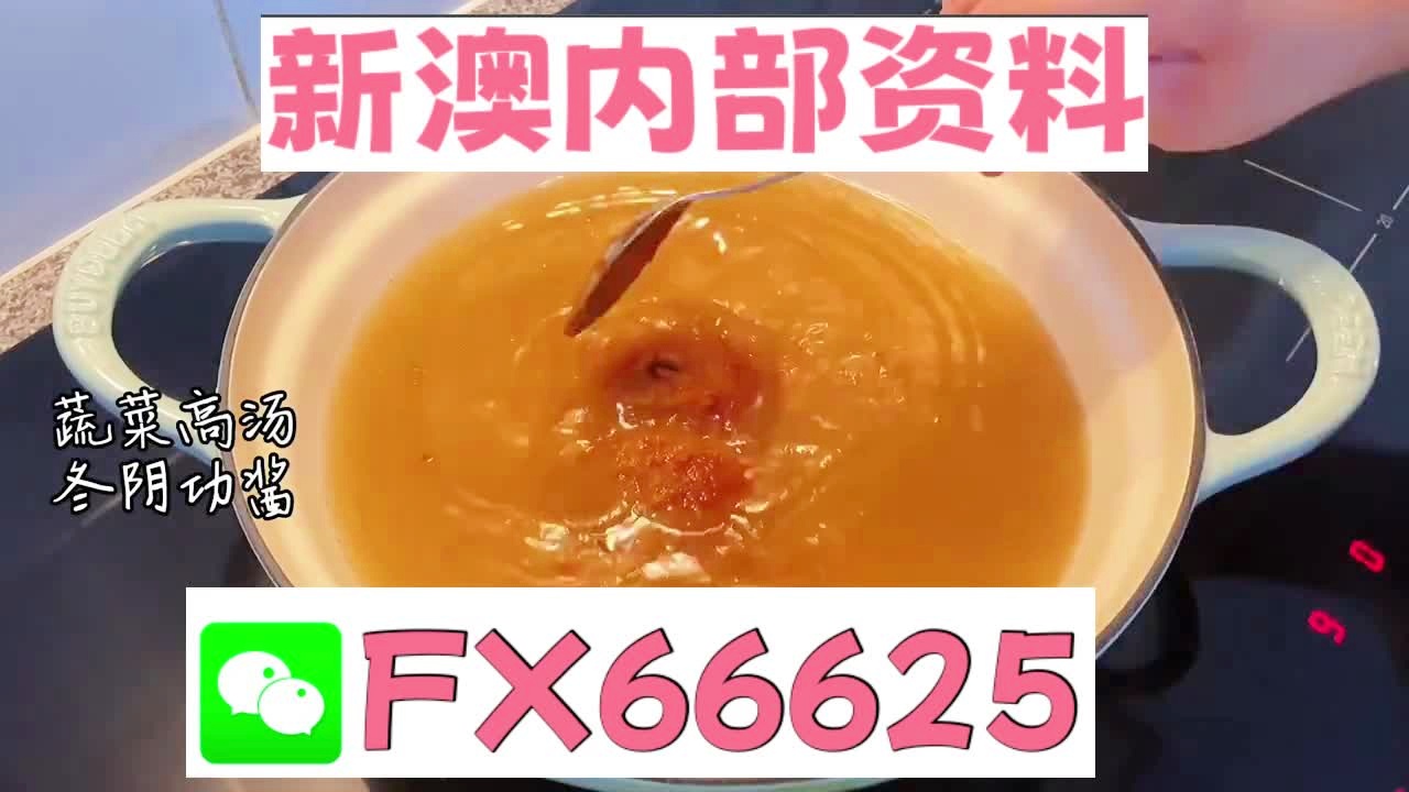 澳门期期准正版免费资料,高效性设计规划_紧凑版72.553