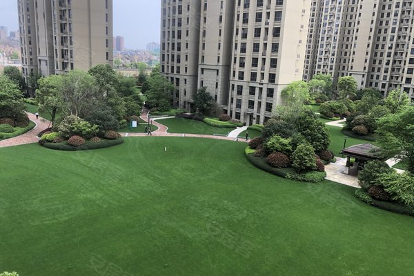 新力象湖湾最新动态揭秘，小巷深处的特色小店惊喜亮相！