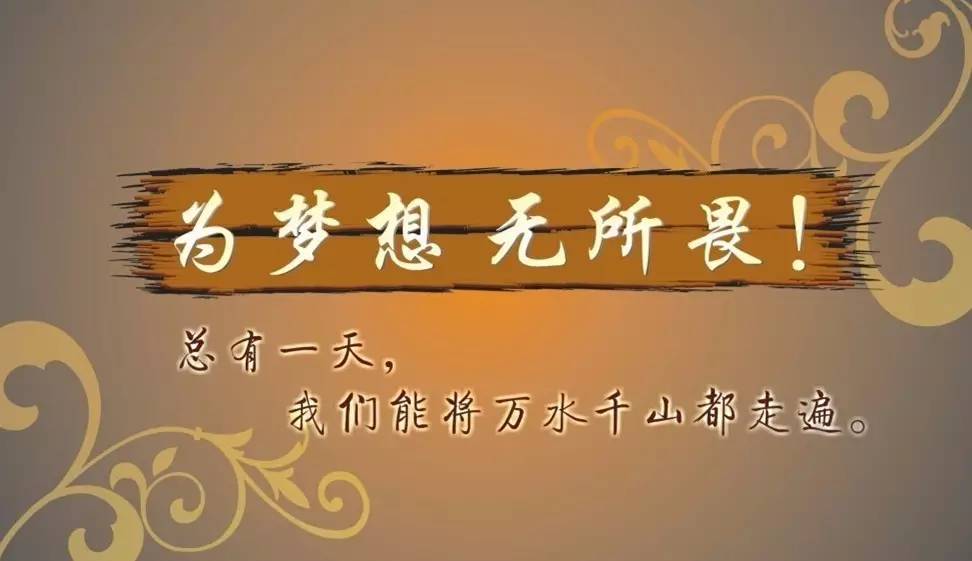 梦想典城最新动态揭秘,深度解析与观点阐述