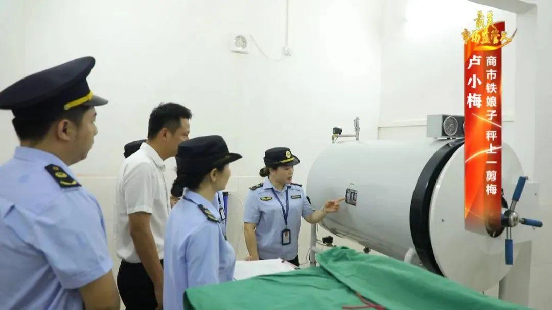 广西梅花盛事连连,展现冬日之美,梅花协会最新消息揭秘!