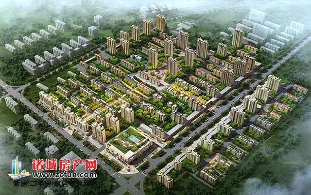 彩虹郡二期最新进展，家的温馨与友情的绽放时刻