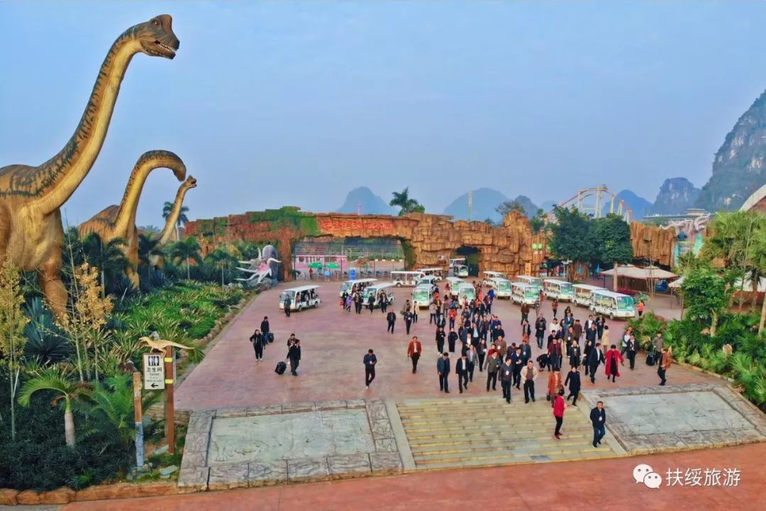 广西龙象谷最新动态报道📢🌴