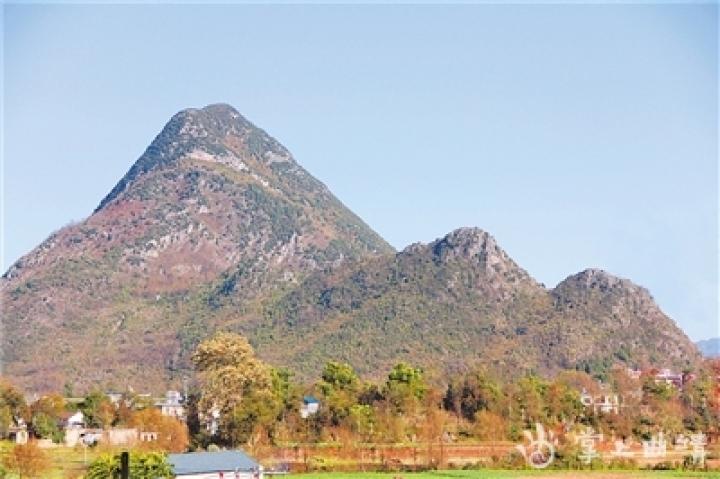 罗平九龙街道最新进展与动态更新