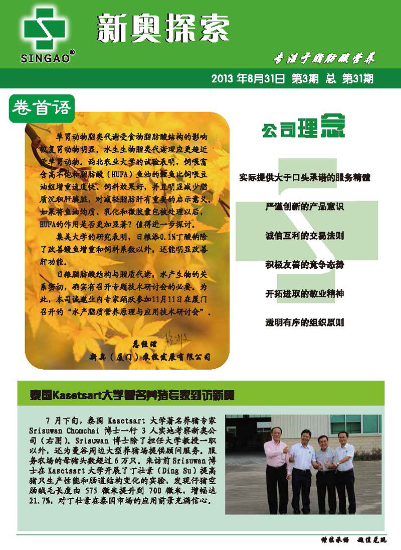 新奥内部最准资料,全盘细明说明_锐意版62.777