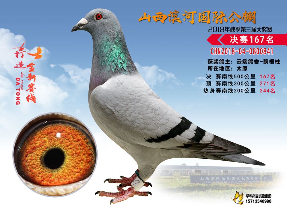 北京义信公棚最新动态与相关论述解析