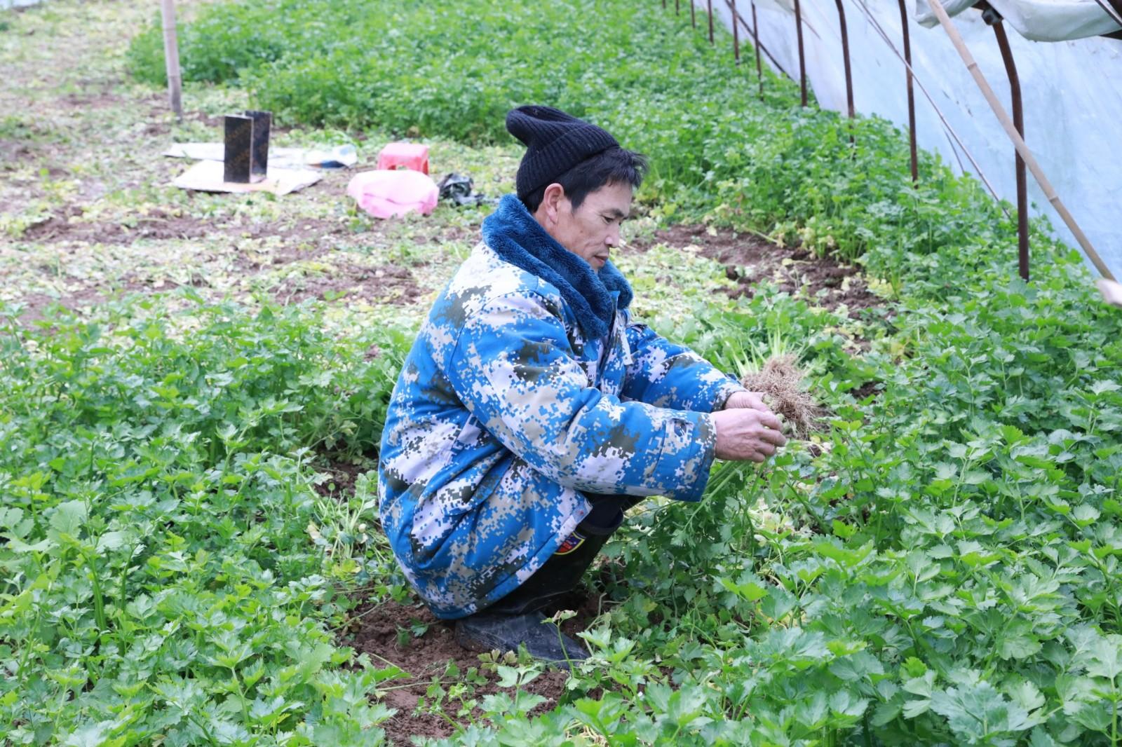 公众号微商城 第336页