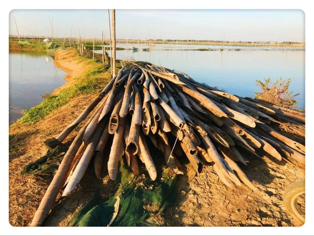 江西乐采最新动态,重磅消息📢🎉揭晓!