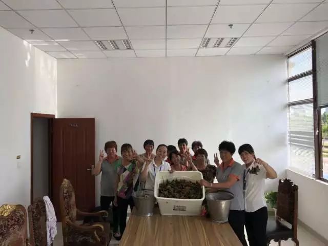 海门中南锦苑最新房价，时代印记与市场的同步律动
