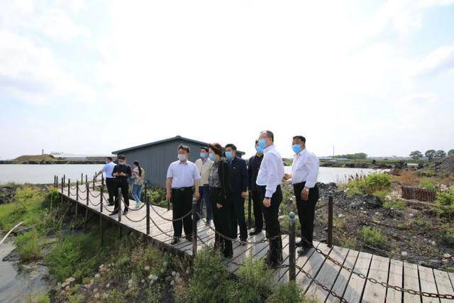 青海油田最新领导班子及其背后的独特风景与特色小店故事