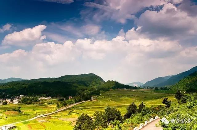 青海油田最新领导班子及其背后的独特风景与特色小店故事