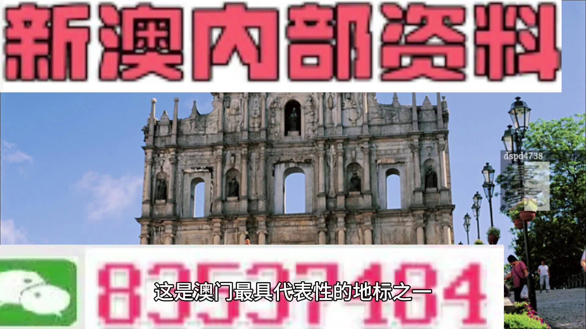 2024新澳门正版免费正题,最新数据挖解释明_为你版9.796