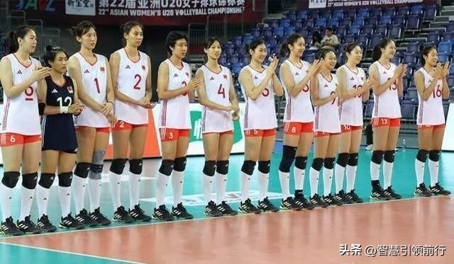 2024澳门天天开好彩大全免费,专业解读评估_精英版9.253
