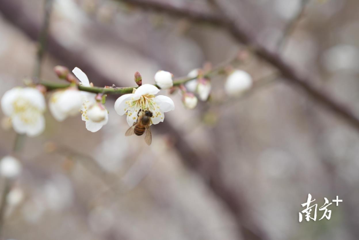 信宜东镇最新招聘信,信宜东镇最新招聘信,高科技产品引领未来,体验科技魅力,开启智能生活新篇章