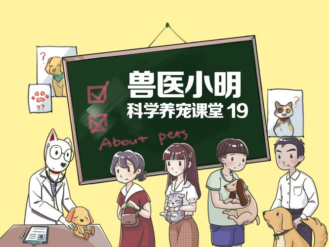 晋中开发区最新讨论吧，小明的快乐日常与情感纽带的朋友间交流