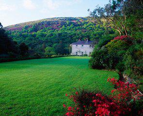 中利科技引领自然美景探索之旅，最新消息，探寻内心平和与宁静的启程