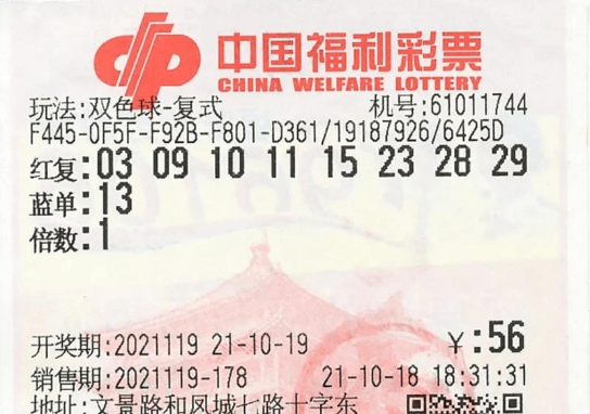 澳门今晚开奖结果号码,全面实施策略设计_快捷版44.941