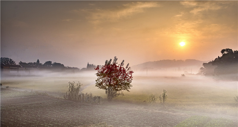 孟河镇小黄山最新动态揭秘,巷弄风情与隐藏小店探秘