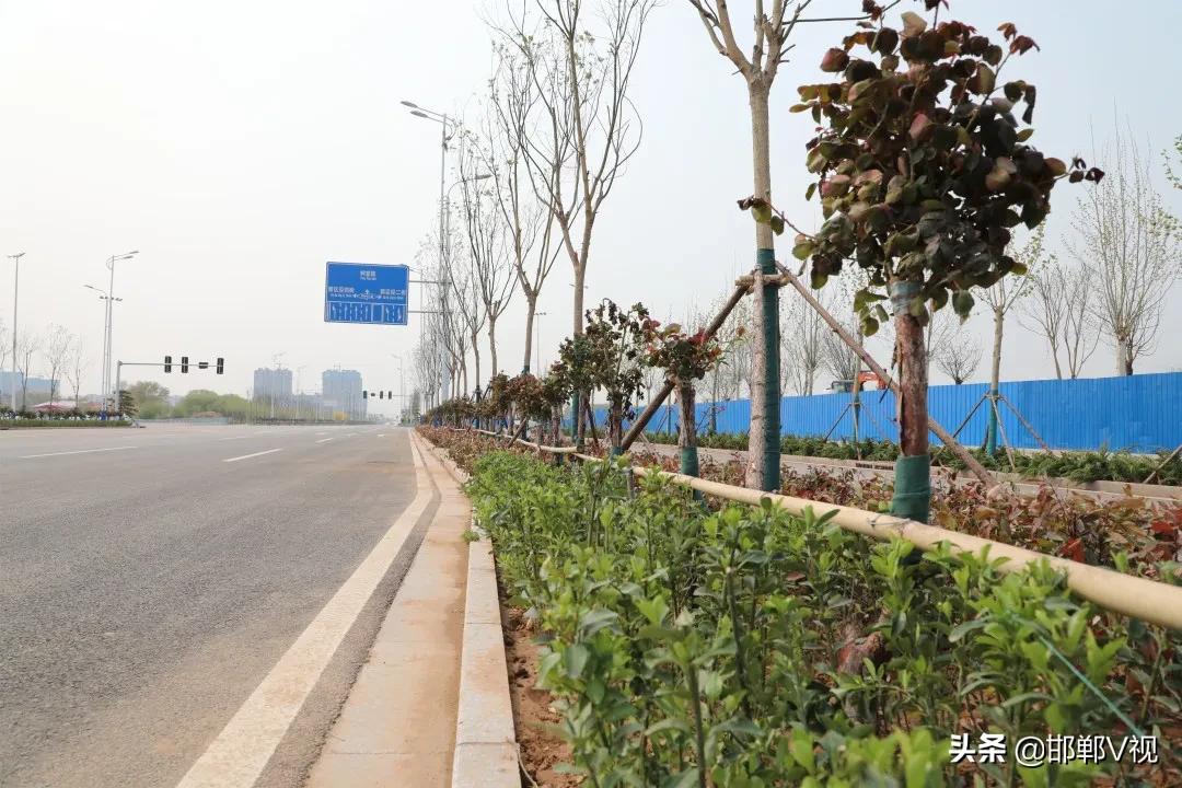 邯郸东区最新进展及任务完成与技能学习指南全攻略