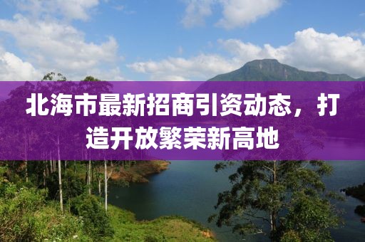 北部湾的最新招商引资,实地研究解答协助_娱乐版94.305